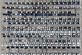 China New Energy Vehicle Exports