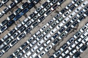 China New Energy Vehicle Exports