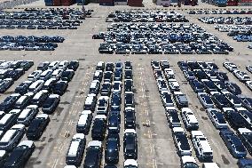 China New Energy Vehicle Exports