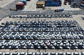 China New Energy Vehicle Exports