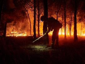 INFONA Plan Level 2 Upgrade Following Carcastillo Forest Fire - Spain