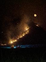 INFONA Plan Level 2 Upgrade Following Carcastillo Forest Fire - Spain