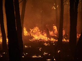 INFONA Plan Level 2 Upgrade Following Carcastillo Forest Fire - Spain