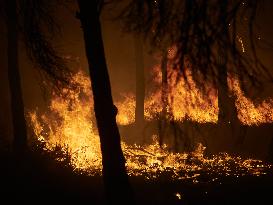 INFONA Plan Level 2 Upgrade Following Carcastillo Forest Fire - Spain