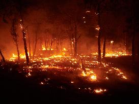 INFONA Plan Level 2 Upgrade Following Carcastillo Forest Fire - Spain
