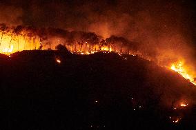 INFONA Plan Level 2 Upgrade Following Carcastillo Forest Fire - Spain
