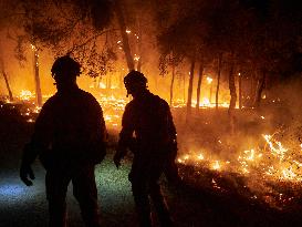 INFONA Plan Level 2 Upgrade Following Carcastillo Forest Fire - Spain