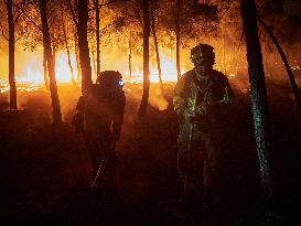 INFONA Plan Level 2 Upgrade Following Carcastillo Forest Fire - Spain