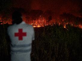 INFONA Plan Level 2 Upgrade Following Carcastillo Forest Fire - Spain