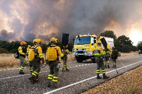 INFONA Plan Level 2 Upgrade Following Carcastillo Forest Fire - Spain