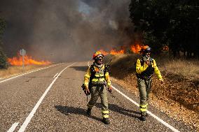 INFONA Plan Level 2 Upgrade Following Carcastillo Forest Fire - Spain