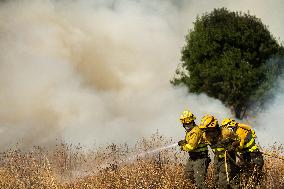 INFONA Plan Level 2 Upgrade Following Carcastillo Forest Fire - Spain
