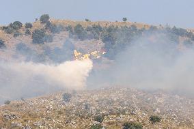 Fire Response in Santa Cristina Gela Helicopters Deployed - Italy