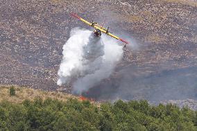Fire Response in Santa Cristina Gela Helicopters Deployed - Italy