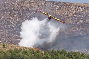 Fire Response in Santa Cristina Gela Helicopters Deployed - Italy