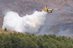 Fire Response in Santa Cristina Gela Helicopters Deployed - Italy