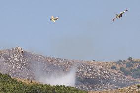 Fire Response in Santa Cristina Gela Helicopters Deployed - Italy