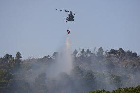 Fire Response in Santa Cristina Gela Helicopters Deployed - Italy