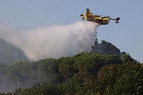 Fire Response in Santa Cristina Gela Helicopters Deployed - Italy