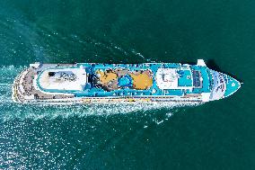 Cruise Economy