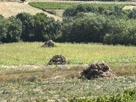 More Than 4 000 Hectares Of Vines Snapped in Gard - France