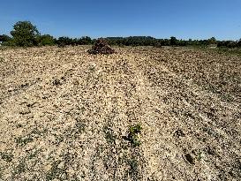 More Than 4 000 Hectares Of Vines Snapped in Gard - France