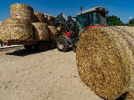 Illustration - Farming in Aveyron - France