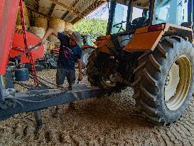 Illustration - Farming in Aveyron - France
