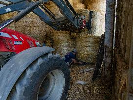 Illustration - Farming in Aveyron - France