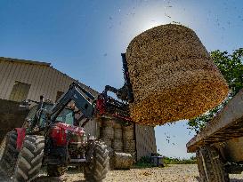 Illustration - Farming in Aveyron - France