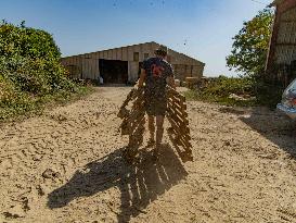 Illustration - Farming in Aveyron - France