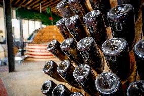 Illustration - The Making of Champagne