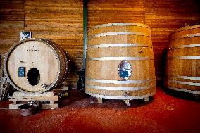 Illustration - The Making of Champagne