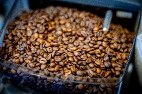 Illustration - Coffee beans