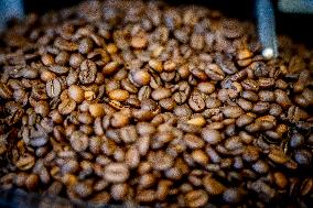 Illustration - Coffee beans