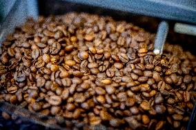 Illustration - Coffee beans