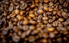 Illustration - Coffee beans