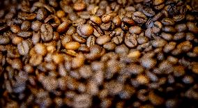 Illustration - Coffee beans