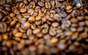 Illustration - Coffee beans
