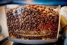 Illustration - Coffee beans