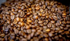 Illustration - Coffee beans