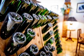 Illustration - The Making of Champagne