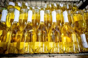 Illustration - The Making of Champagne