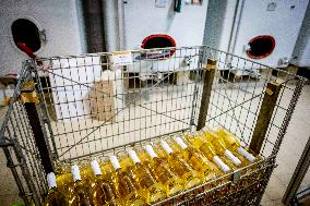 Illustration - The Making of Champagne