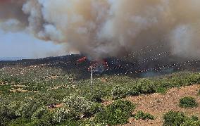 Preventive Evictions During Wildfires in Tarifa - Spain