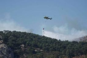 Preventive Evictions During Wildfires in Tarifa - Spain