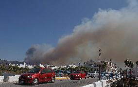Preventive Evictions During Wildfires in Tarifa - Spain