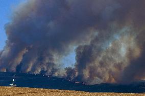 Preventive Evictions During Wildfires in Tarifa - Spain