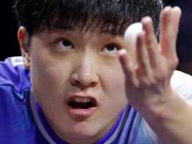 Table tennis: WTT Champions