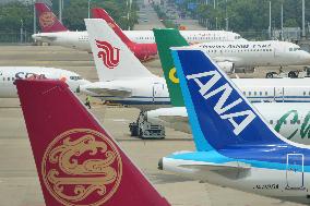Positive Cycle Effect of Civil Aviation Volume Price
